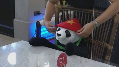 Cabinas acristaladas, maniquíes y osos panda: La imaginación de los hosteleros para dar esquinazo al coronavirus