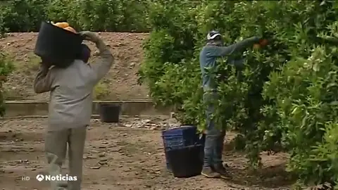 Imagen Archivo Imagen Archivo