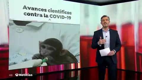 nueva vacuna nueva vacuna