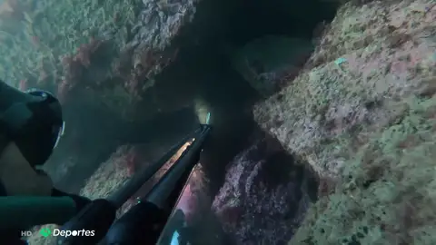 Pedro vuelve a practicar pesca submarina tras las críticas de los cazadores a la desescalada del coronavirus Pesca