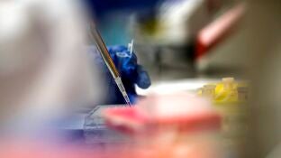 Trabajos en laboratorio