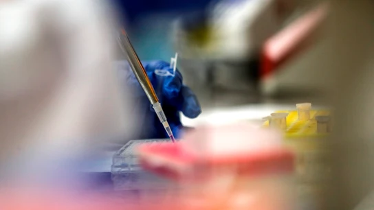 Trabajos en laboratorio Trabajos en laboratorio