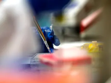 Trabajos en laboratorio Trabajos en laboratorio