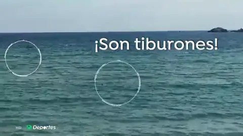 El nadador paralímpico Ariel Schrenck huye de dos tiburones en Gerona: "Me entró un pánico terrible" Aventura