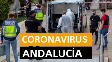 Coronavirus Andalucía: Fase desescalada y últimas noticias de hoy, en directo | Última hora Andalucía