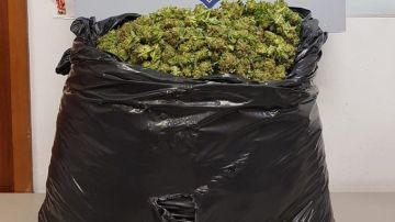 Bolsa de marihuana incautada por los Mossos d'Esquadra