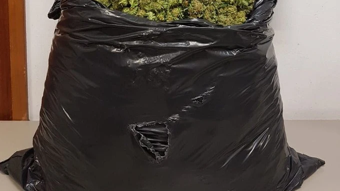 El modus operandi de los ladrones que robaban droga a narcos El modus operandi de los ladrones que robaban droga a narcos