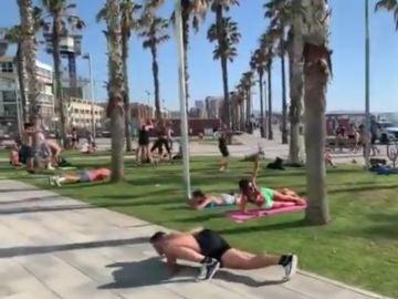 Los mejores memes del 'lagarto de la Barceloneta'