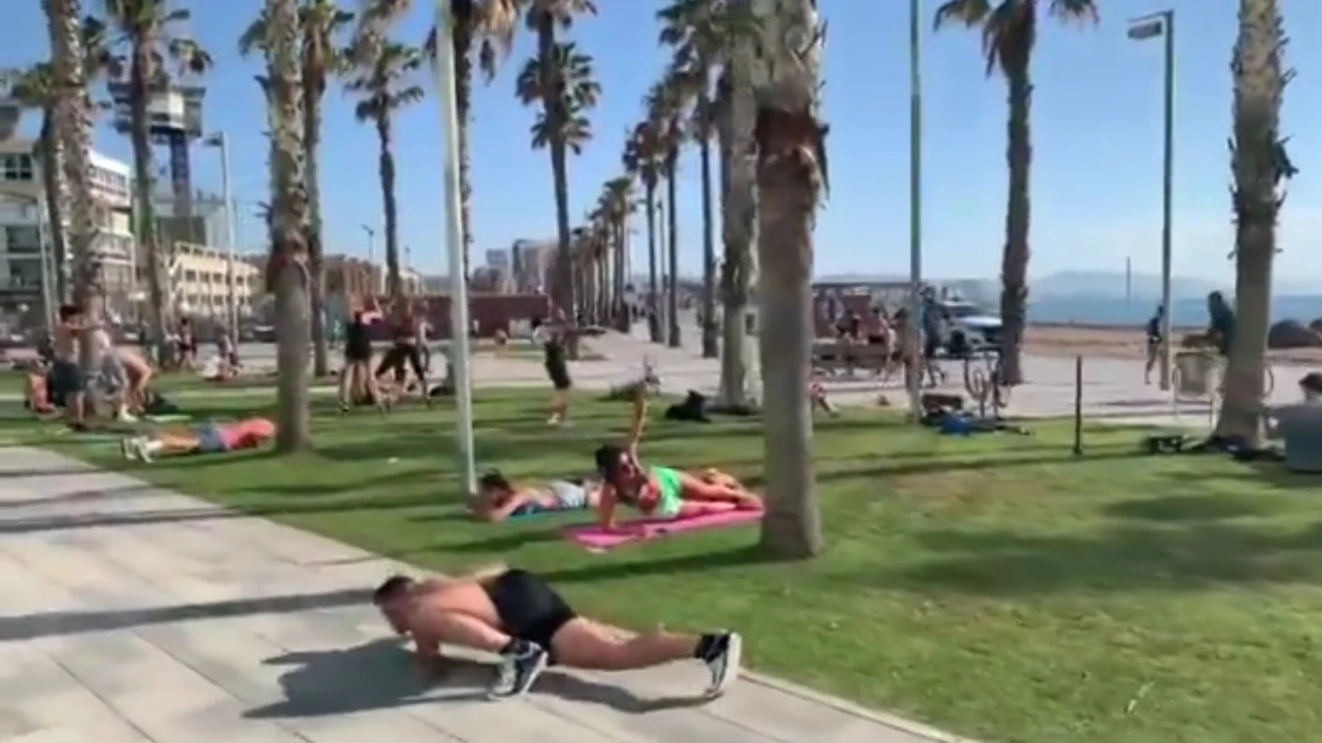 Los mejores memes del 'lagarto de la Barceloneta' Los mejores memes del 'lagarto de la Barceloneta'