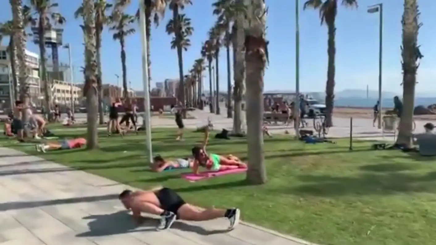 Los mejores memes del 'lagarto de la Barceloneta' El bautizado como 'Lagarto de la Barceloneta'