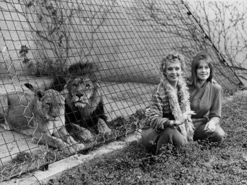 Tippi Hedren y Melanie Griffith en el zoo de Londres