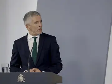 Fernando Grande-Marlaska comparece en el Senado Fernando Grande-Marlaska comparece en el Senado