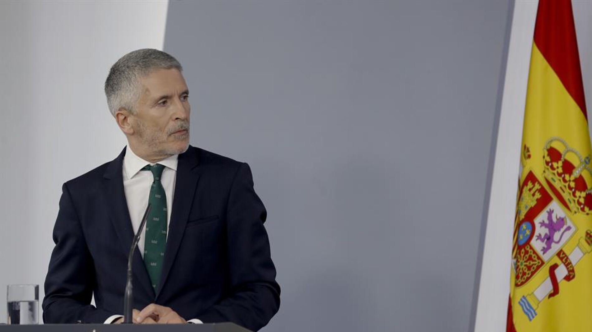 Fernando Grande-Marlaska comparece en el Senado