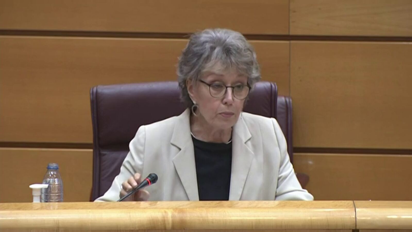 El lapsus de Rosa María Mateo durante su intervención en el Senado: 