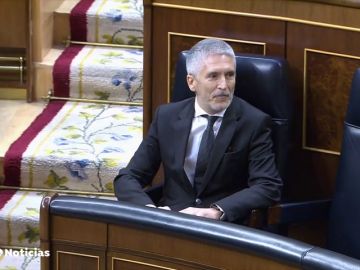 Tres partidos piden la dimisión del ministro del Interior, Fernando Grande-Marlaska acusándole de intromisión en la investigación del 8M