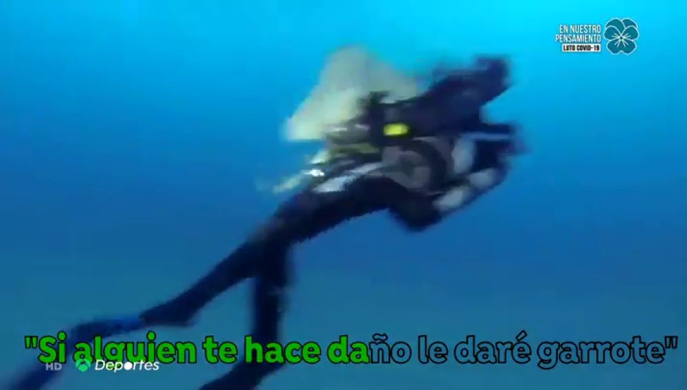 Varios ataques de tiburones angelotes a bañistas en Canarias: "Su respuesta es agresiva"