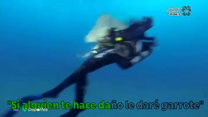 Varios ataques de tiburones angelotes a bañistas en Canarias: "Su respuesta es agresiva" Varios ataques de tiburones angelotes a bañistas en Canarias: "Su respuesta es agresiva"