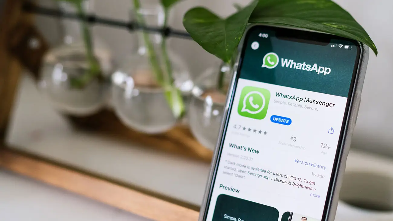 WhatsApp WhatsApp
