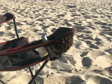 Cientos de abejas se instalaron en el reposabrazos de una silla en Samil Cientos de abejas se instalaron en el reposabrazos de una silla en Samil