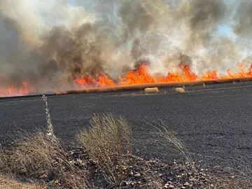 El incendio se ha registrado cerca de la zona de El Pardillo El incendio se ha registrado cerca de la zona de El Pardillo