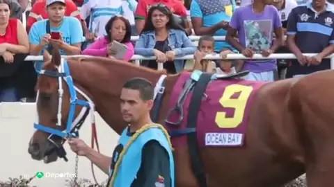 Caballo Caballo