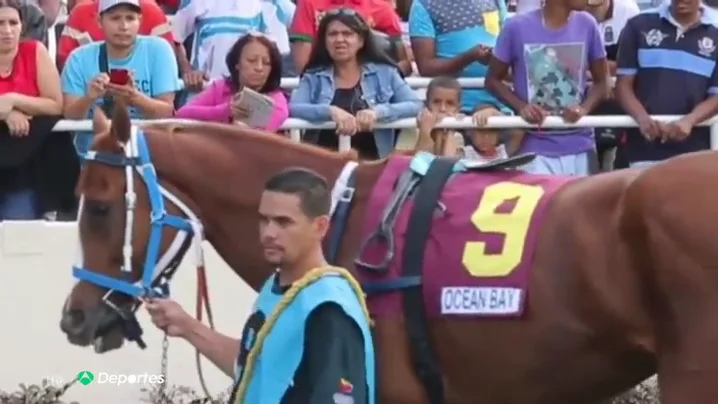 Caballo Caballo