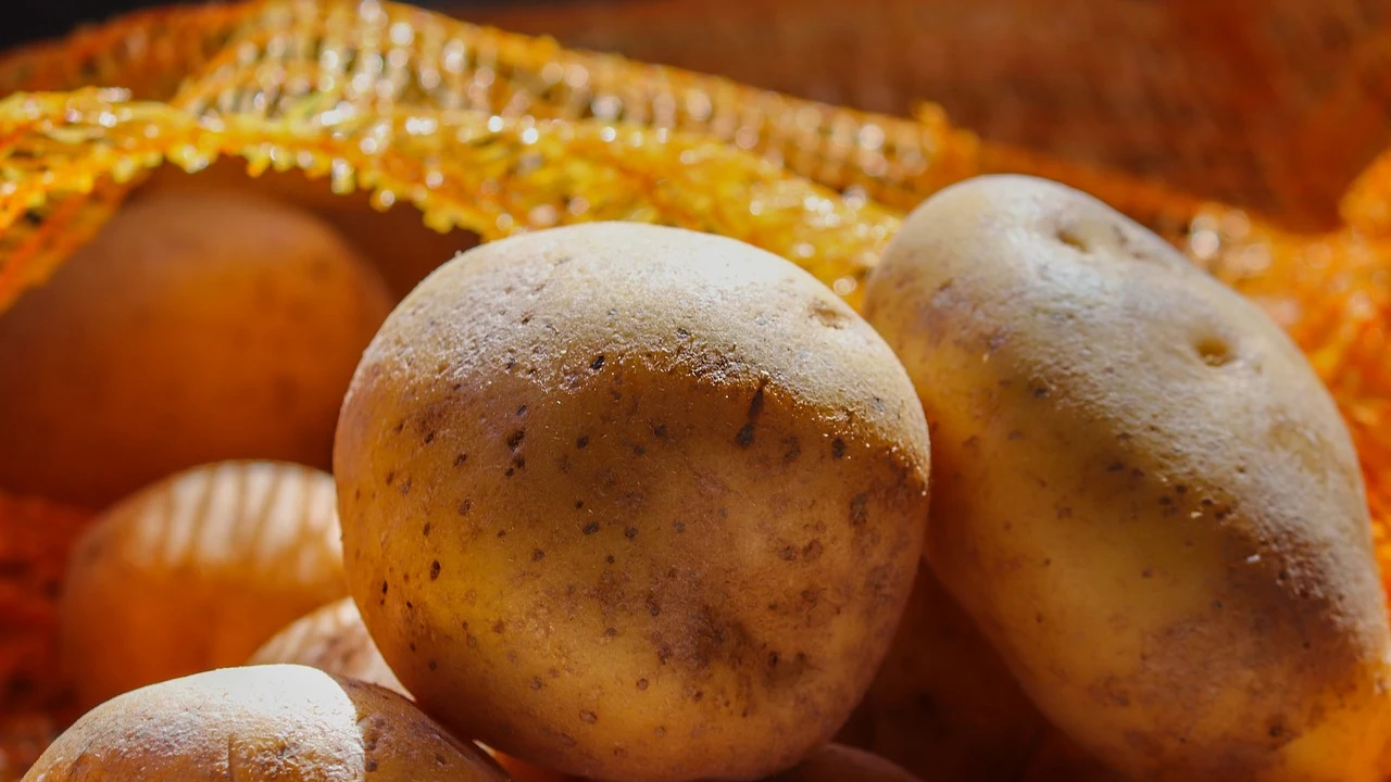 Patatas Patatas