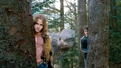 'Harry Potter y el prisionero de Azkaban' 'Harry Potter y el prisionero de Azkaban'