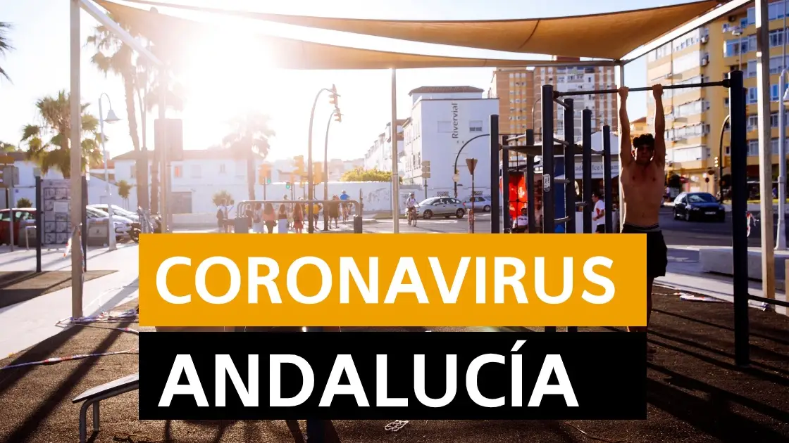 Última hora Andalucía: Nueva normalidad, fase 3 de desescalada del coronavirus en Andalucía y datos de hoy jueves 18 de junio, en directo Última hora Andalucía: Nueva normalidad, fase 3 de desescalada del coronavirus en Andalucía y datos de hoy jueves 18 de junio, en directo