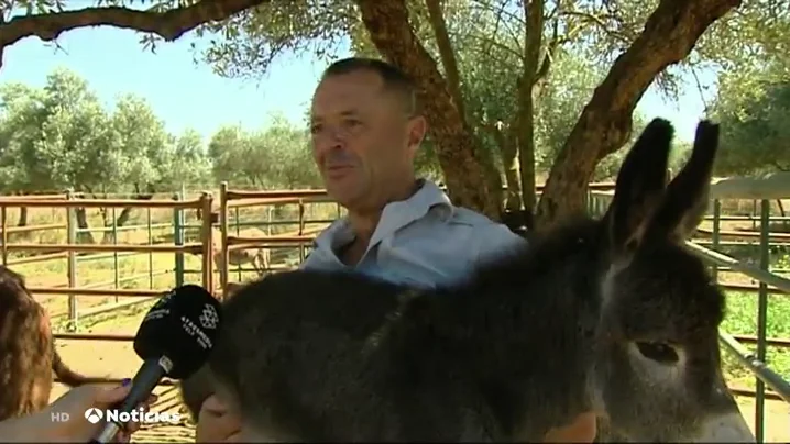 Burros antiestr&eacute;s en Do&ntilde;ana