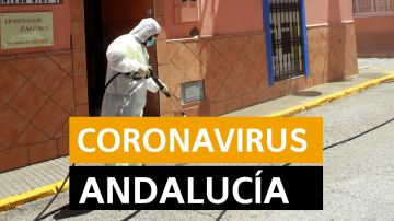 Última hora Andalucía: Nueva normalidad, fase 3 de desescalada del coronavirus en Andalucía y datos de hoy viernes 19 de junio, en directo