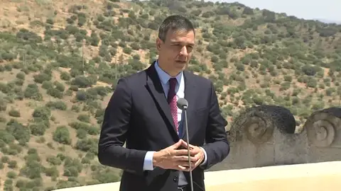 Pedro Sánchez hace un llamamiento a la tranquilidad por los rebrotes de coronavirus: "Hay que aprender a vivir con el virus" Pedro Sánchez hace un llamamiento a la tranquilidad por los rebrotes de coronavirus: "Hay que aprender a vivir con el virus"