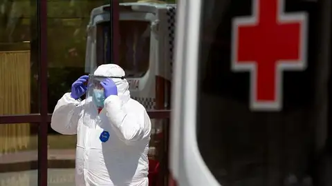 Rebrotes en Andalucía Rebrotes en Andalucía