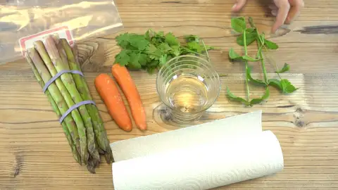 Alimentos Alimentos