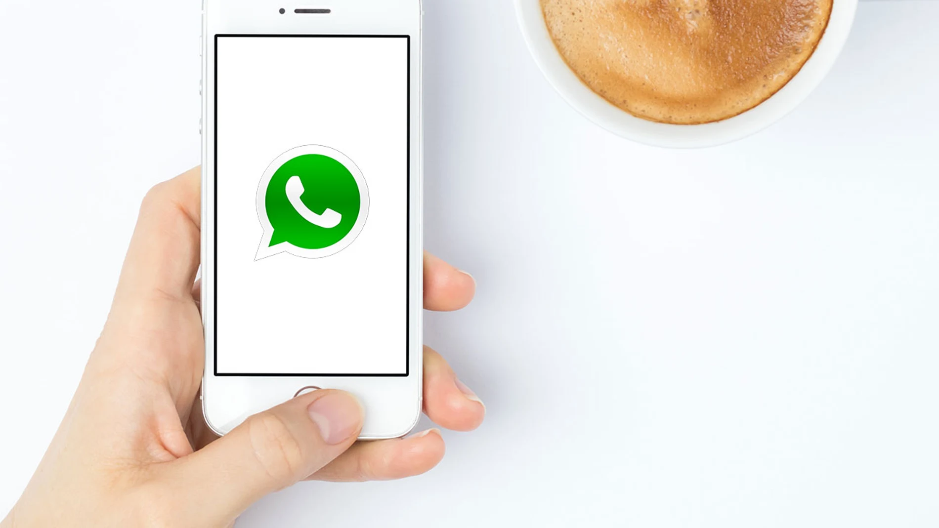 WhatsApp WhatsApp