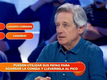 Una cucaracha, una medusa y una araña, entre los enemigos del equipo naranja en ‘Una de Cuatro’ Una cucaracha, una medusa y una araña, entre los enemigos del equipo naranja en ‘Una de Cuatro’