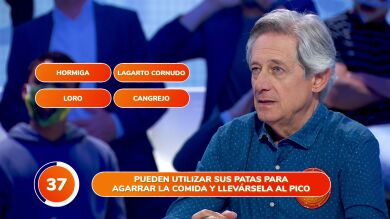 Una cucaracha, una medusa y una araña, entre los enemigos del equipo naranja en ‘Una de Cuatro’