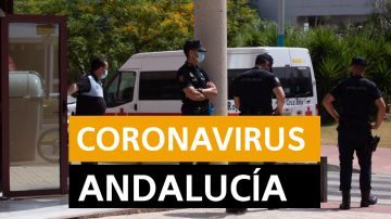Coronavirus Andalucía: Rebrotes, datos y noticias hoy jueves 2 de julio, en directo | Última hora Andalucía