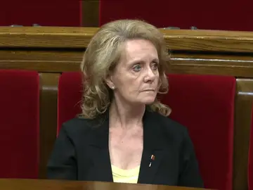 La consejera de Cultura de la Generalitat cree que se habla demasiado castellano en el Parlament La consejera de Cultura de la Generalitat cree que se habla demasiado castellano en el Parlament