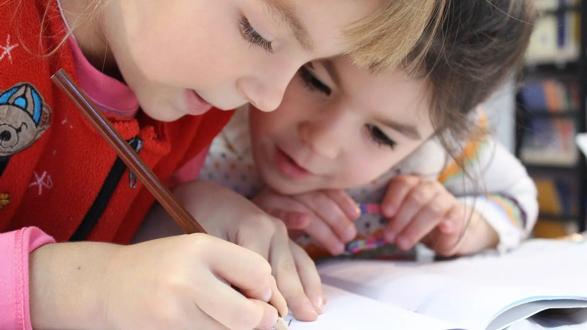 Propuestas para educación en las elecciones vascas Propuestas para educación en las elecciones vascas