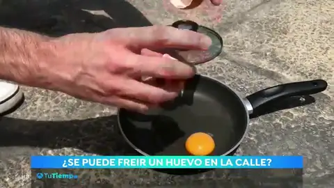 huevo huevo