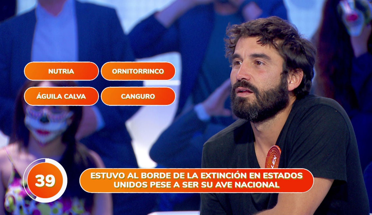 Álex García, estresado durante la prueba 'Una de Cuatro': "Estaba empezando a no escucharte y a no leer" Álex García, estresado durante la prueba 'Una de Cuatro': "Estaba empezando a no escucharte y a no leer"