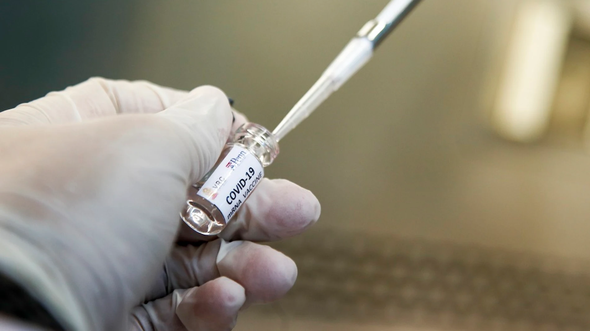 Imagen de archivo de una posible vacuna contra el coronavirus Imagen de archivo de una posible vacuna contra el coronavirus