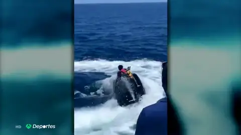 Investigan al hijo de Cristiano Ronaldo por conducir una moto de agua con 10 años Investigan al hijo de Cristiano Ronaldo por conducir una moto de agua con 10 años