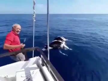 VACA MUERTA VACA MUERTA