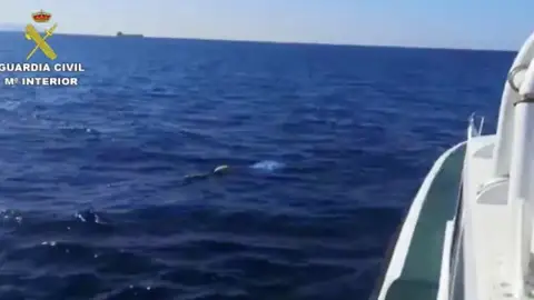 Operación antidroga de la Guardia Civil Operación antidroga de la Guardia Civil