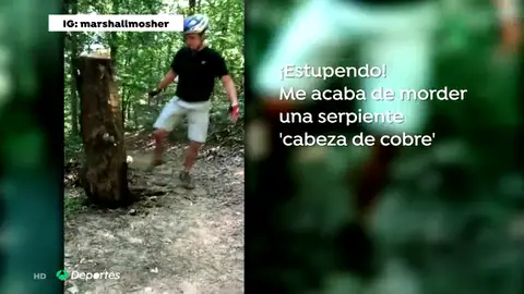 La angustiosa carrera de un ciclista en busca del antídoto tras la mordedura de una serpiente venenosa La angustiosa carrera de un ciclista en busca del antídoto tras la mordedura de una serpiente venenosa