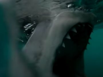 Momento en el que un tiburón muerde el motor de una embarcación