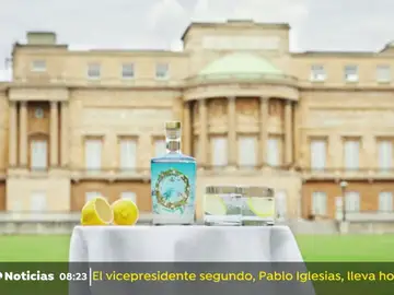 Botella de ginebra de la familia real británica Botella de ginebra de la familia real británica
