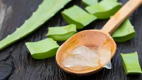 Aloe vera Aloe vera